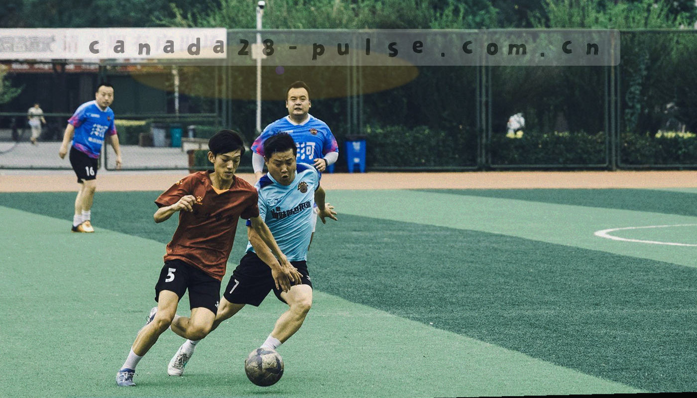 从表单提交到专人响应的抽象流程箭头图，各节点用圆角色块表示